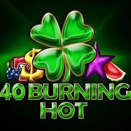 Official Slots logo: 40 Burning Hot by Amusnet Interactive at Spinstein Casino